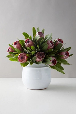 Pink Ice Protea Bunch | Terrain