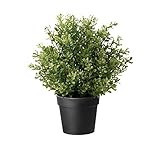 IKEA Artificial Potted Plant, Thyme, 9.5 Inch (1) | Amazon (US)