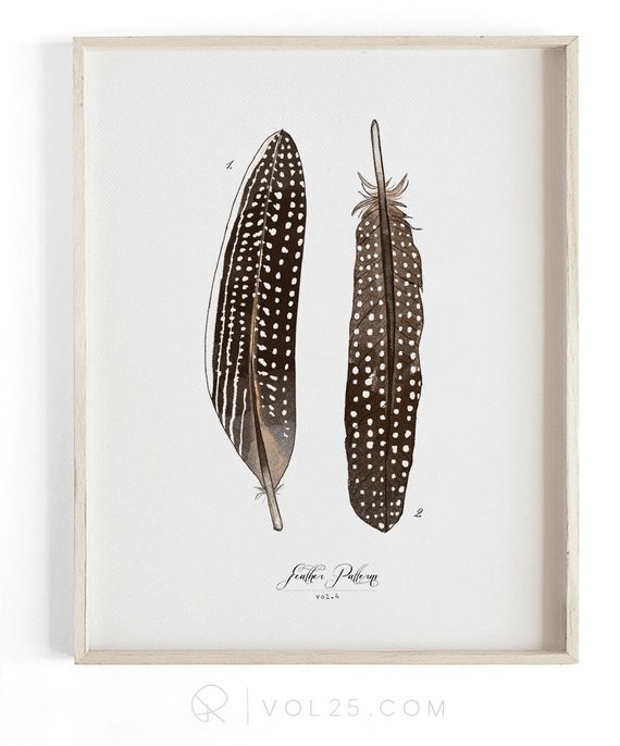 Feather Patterns vol.4 - Scientific Illustration. Beautifully textured cotton canvas art print. Larg | Etsy (US)