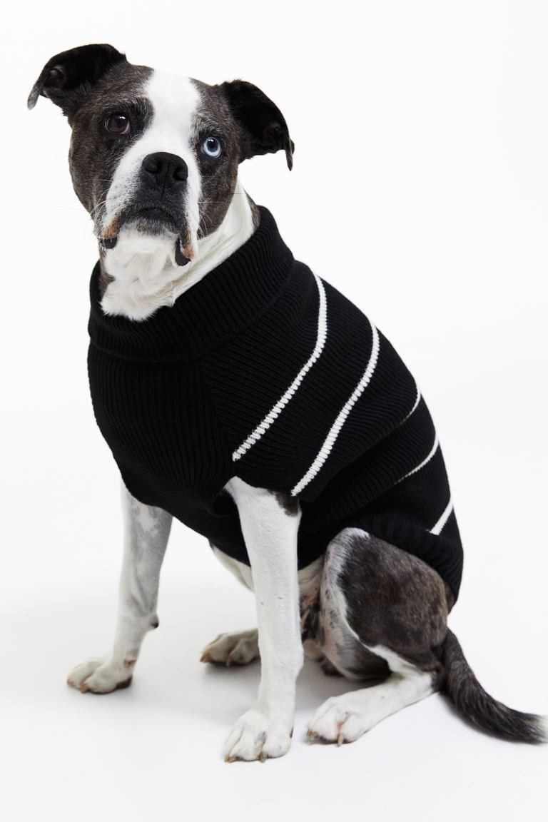 Rib-knit Dog Sweater - Black/striped - Ladies | H&M US | H&M (US + CA)