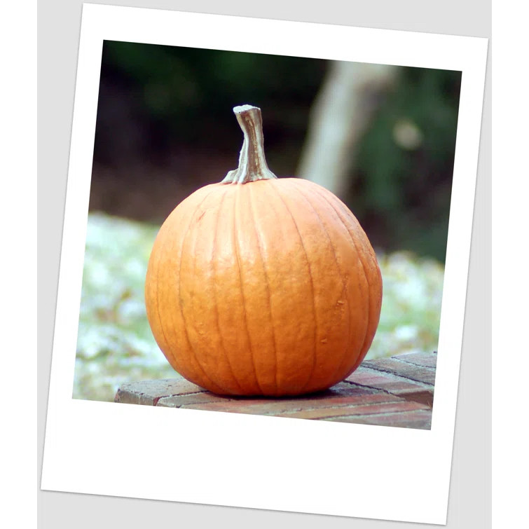 Medium Pumpkin Figurine | Wayfair North America
