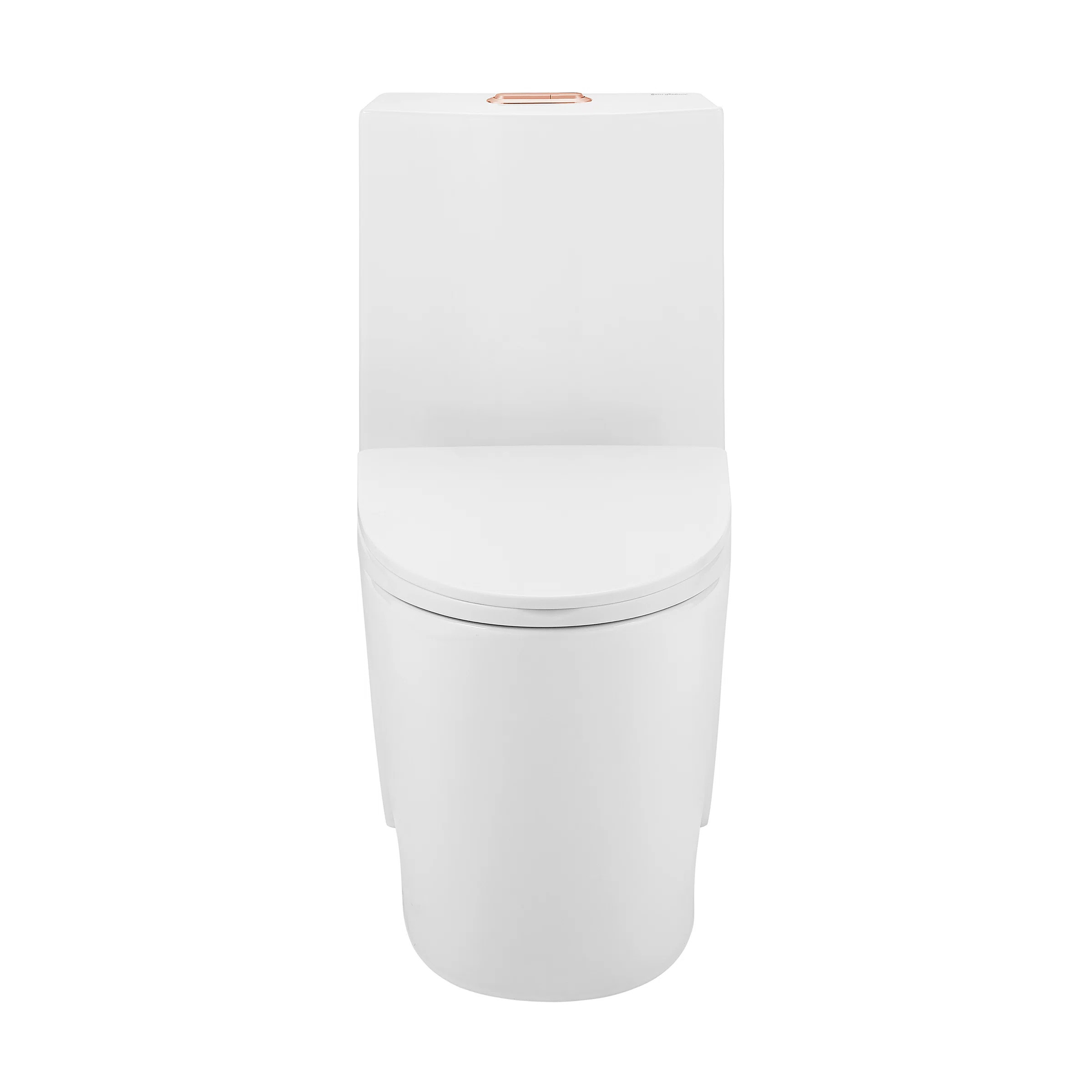 St. Tropez One Piece Elongated Toilet Dual Vortex Flush 1.6 GPF | AllModern