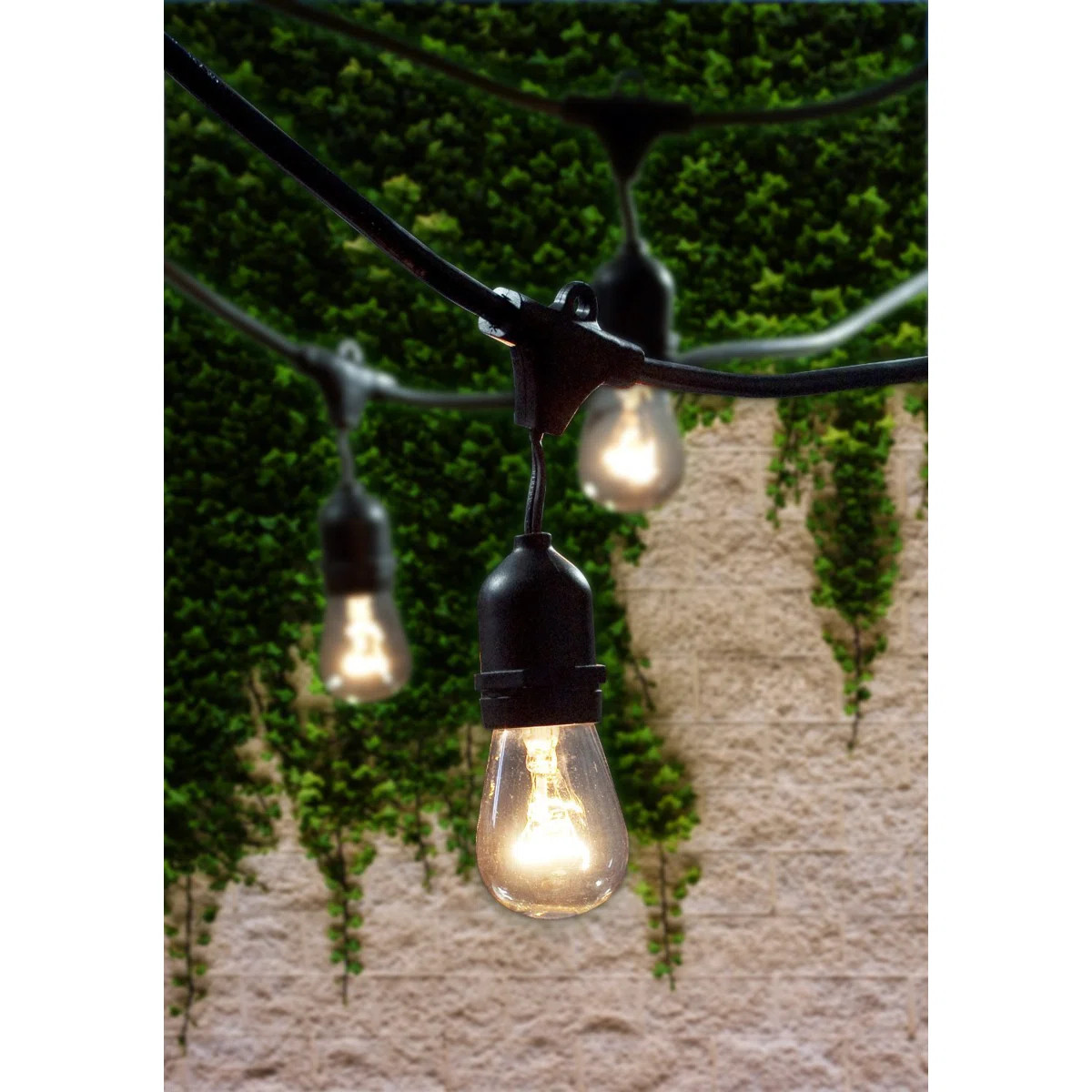Jothan 48-ft Outdoor 15 - Bulb Standard String Light (End to End Connectable) | Wayfair North America