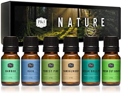 P&J Trading Nature Set of 6 Premium Grade Fragrance Oils - Forest Pine, Ocean Breeze, Rain, Fresh... | Amazon (US)