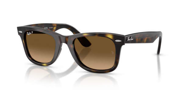 Ray-Ban Sunglasses Wayfarer Ease Polarized - Havana Frame Brown Lenses 50-22 | Ray-Ban (US)