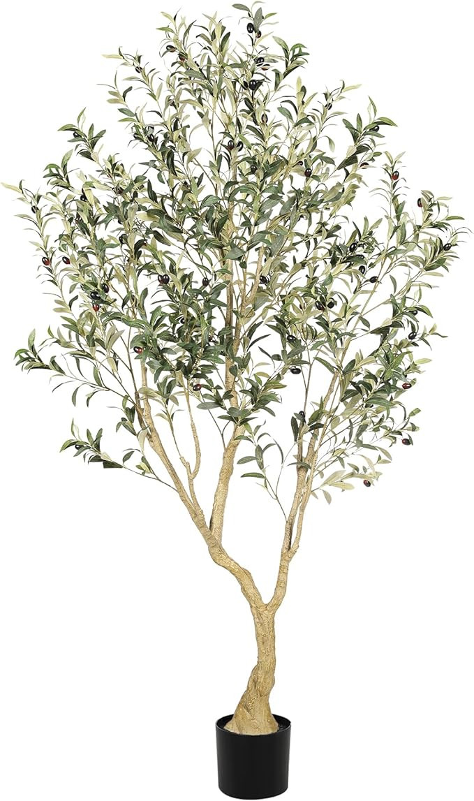 Olive Tree 6ft - Olive Trees Artificial Indoor with Large Olive Branches and Lifelike Fruits - Fa... | Amazon (US)