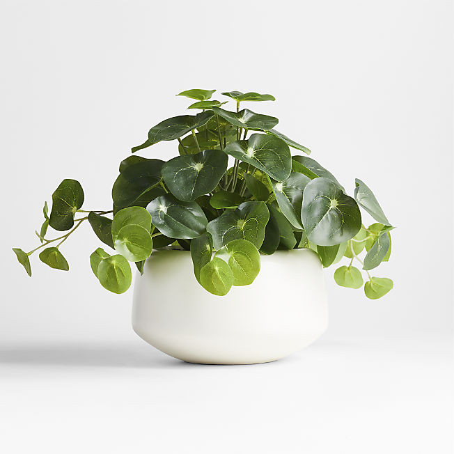 Potted Faux Pilea Plant in White Pot + Reviews | Crate & Barrel | Crate & Barrel