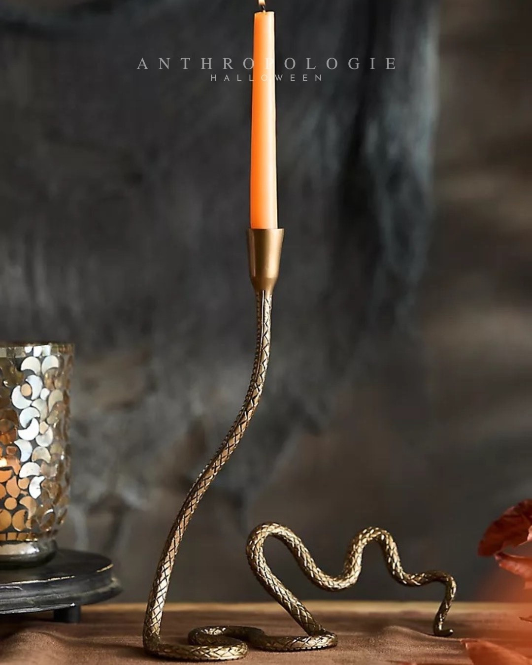 Slithering Snake taper candleholder from Anthropologie

Anthropologie Halloween
Halloween decor 
Halloween edit
Chic Halloween

#LTKSeasonal #LTKHome