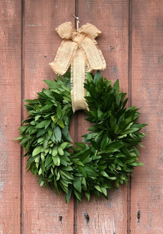 Fresh Bay Leaf Wreath with Jute Bow | Etsy (US)