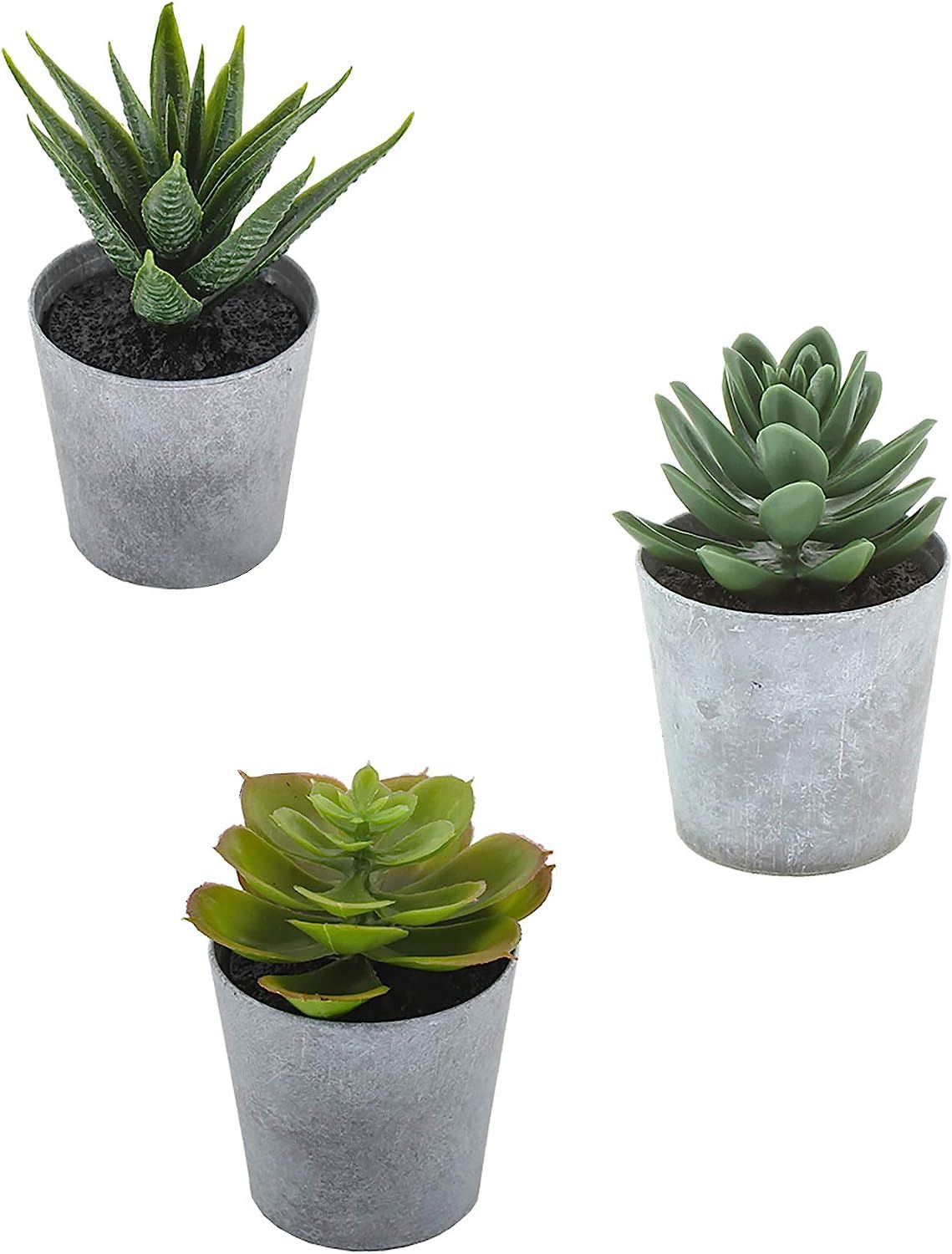 Artificial Succulents set of 3 mini Realistic Fake Plants with plastic Pots for Home and Office D... | Amazon (US)