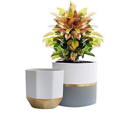 White Ceramic Flower Pot Garden Planters 6.5 Inch Pack 2 Indoor, Plant Containers with Gold and Grey | Walmart (US)