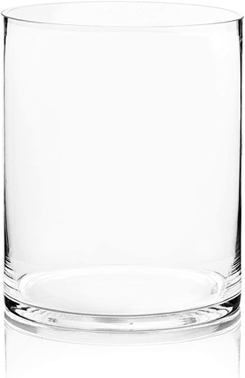 WGV Cylinder Vase, Width 8", Height 10", Clear Wide Large Diameter Glassware, Floral Container, P... | Amazon (US)