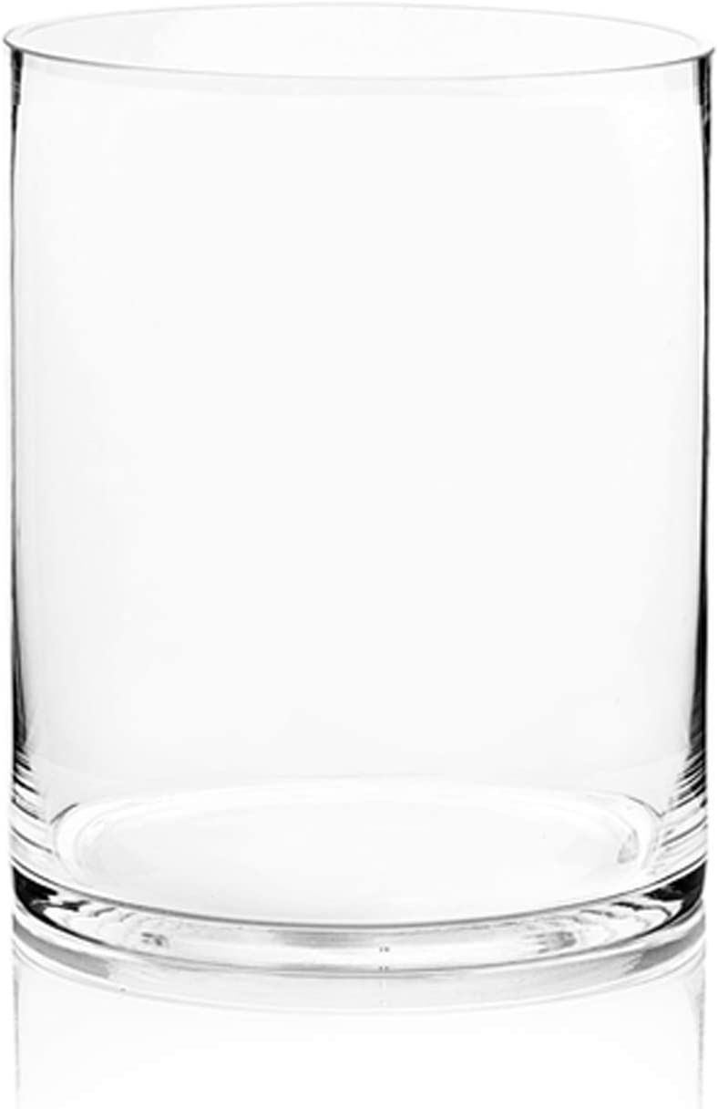 WGV Cylinder Vase, Width 8", Height 10", Clear Wide Large Diameter Glassware, Floral Container, P... | Amazon (US)