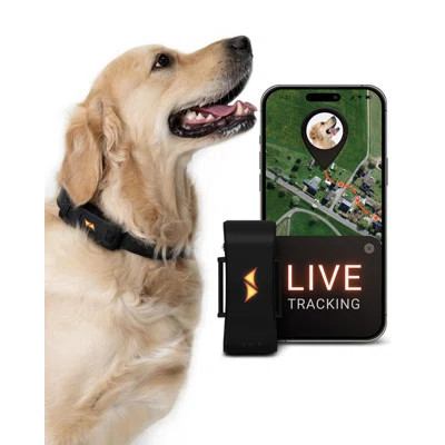 Dog Tracker - 4G Real-Time Tracking & Runaway Alerts - Waterproof, Long-Range, Smart App Monitor Health & Activity - Fits Any Collar, Mini Device Navi | Wayfair North America