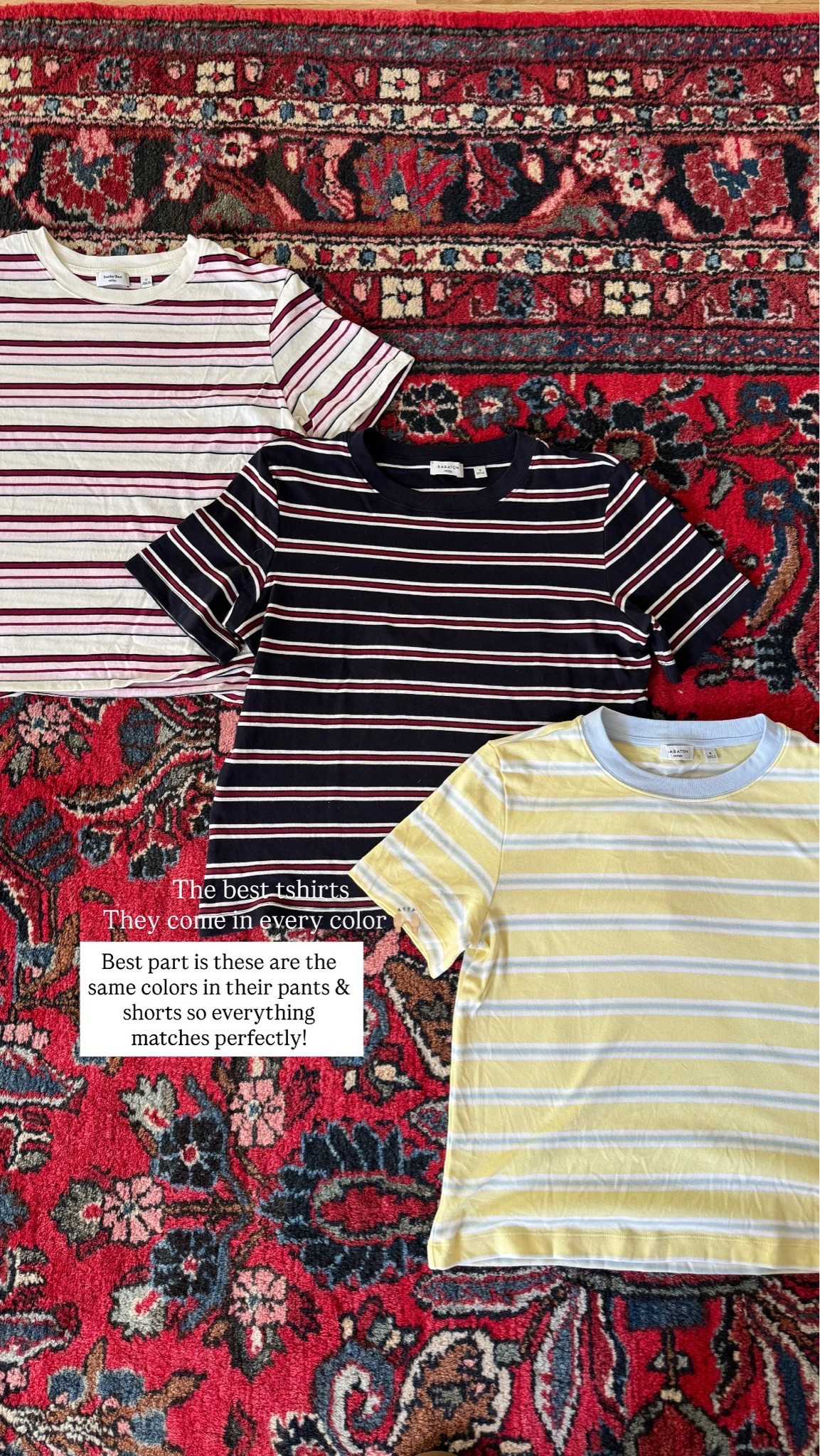 Striped tshirts 
Aritzia sale

#LTKootd
