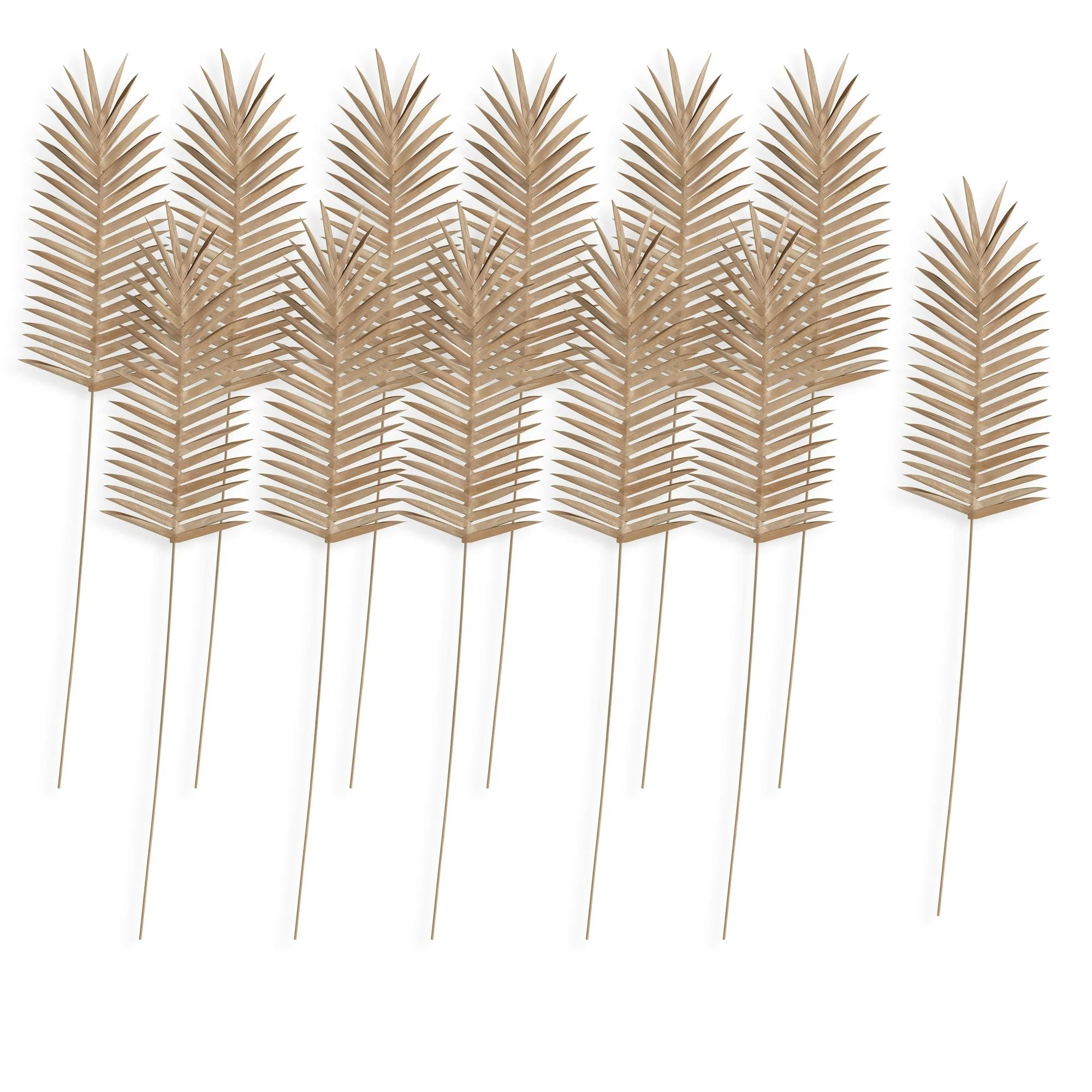 Creative Co-Op Set of 12, 39"H Fern Leaf Pick, Natural | Walmart (US)