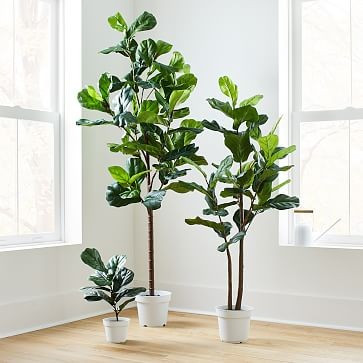 Faux Potted Fiddle Leaf Fig Plants | West Elm (US)