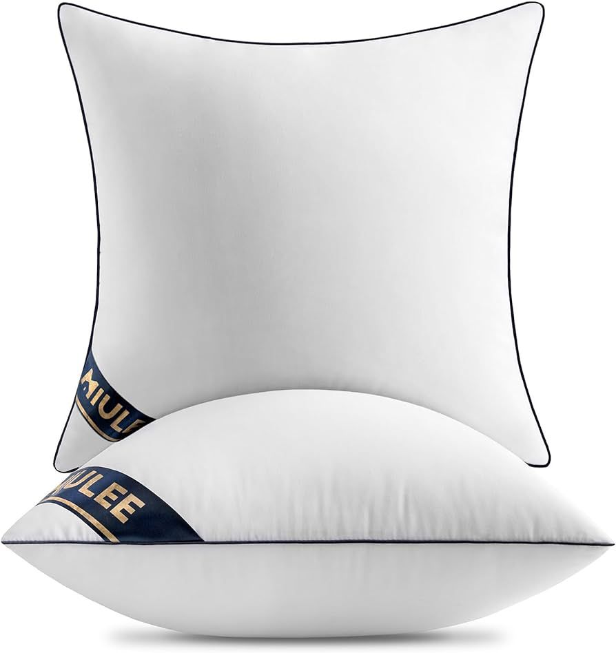 MIULEE 18x18 Pillow Inserts Set of 2 Throw Pillows 18 Inch Premium Down Alternative Pillow Insert... | Amazon (US)