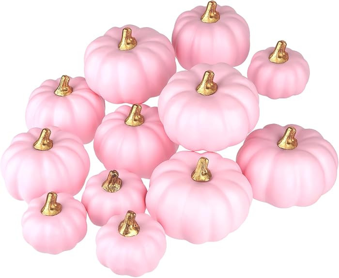 Artmag Artificial Pumpkins Bulk 12Pcs Assorted Sizes Harvest Lifelike Pumpkin Fake Foam Pumpkin for Fall Autumn Halloween Home Party Thanksgiving Party Holiday Decor Pink | Amazon (US)