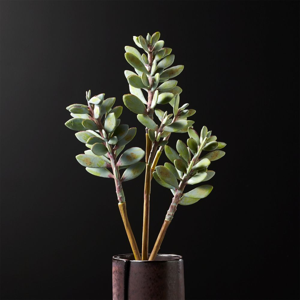 Faux Succulent Stem | CB2