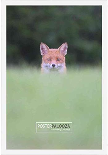 20x40 Contemporary White Wood Picture Panoramic Frame - Picture Frame Includes UV Acrylic, Foam Boar | Amazon (US)