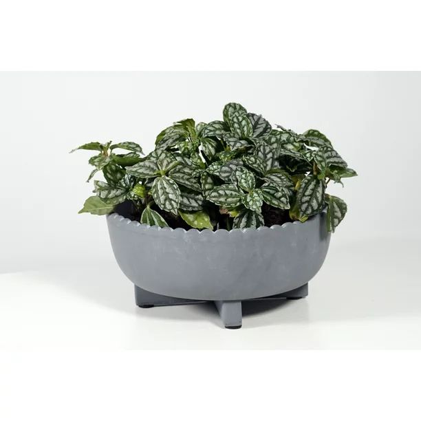 Better Homes & Gardens Pottery 8" x 8" x 4" Round Gray Ceramic Plant Planter with Weather Resista... | Walmart (US)