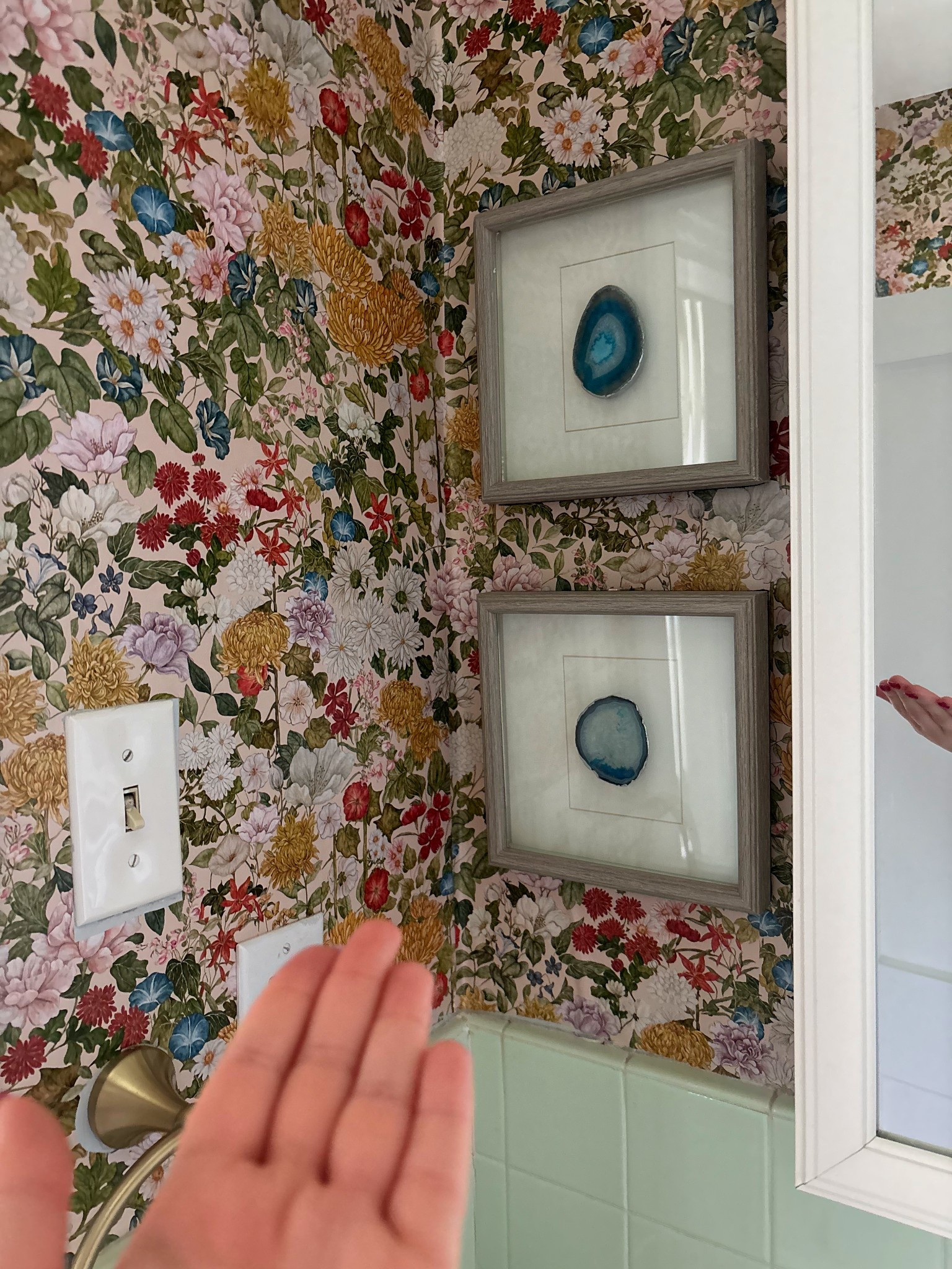 Peel and stick wallpaper from Amazon 

#LTKFindsUnder50 #LTKHome