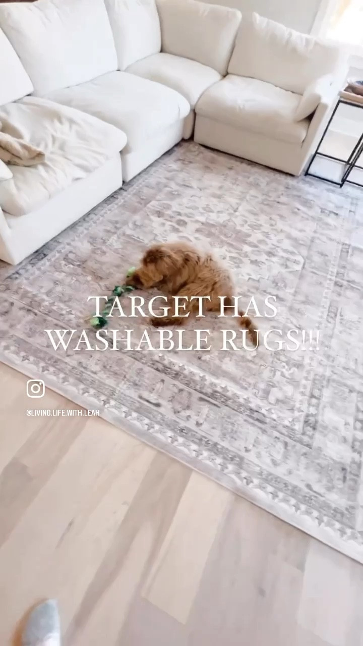50% off right now!!! This rug is gorgeous and washable is a must around here  

#LTKhome #LTKsalealert #LTKFind