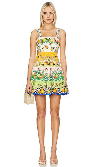 Lemonis Cut Out Mini Dress in Multi | Revolve Clothing (Global)