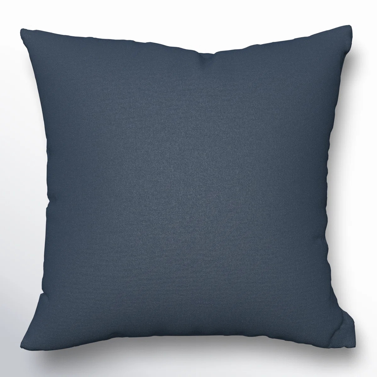 Gabi Sunbrella® Indoor/Outdoor Throw Pillow | Wayfair North America