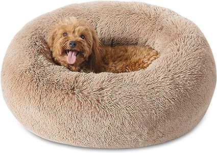 Bedsure Calming Bed for Small Dogs - Donut Washable Pet Bed, 23 inches Anti Anxiety Round Fluffy ... | Amazon (US)