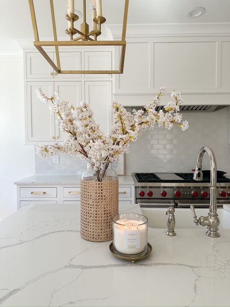 Cane vase from Amazon, cherry blossom stems, spring home decor

#LTKfindsunder50 #LTKhome #LTKSeasonal
