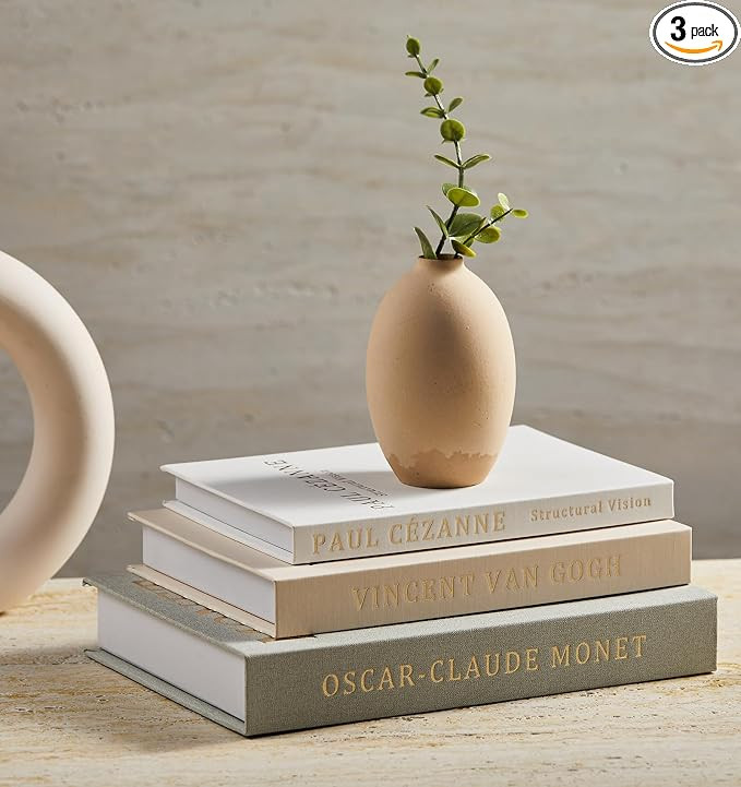 Aesthetic Decorative Books - Coffee Table Books Decor - Faux Decor Book Storage Box for Decoratio... | Amazon (US)