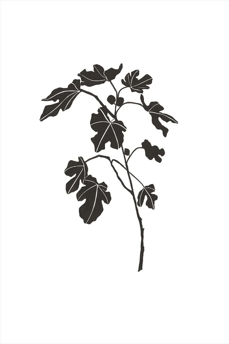 Fig Leaves II | Juniper Print Shop
