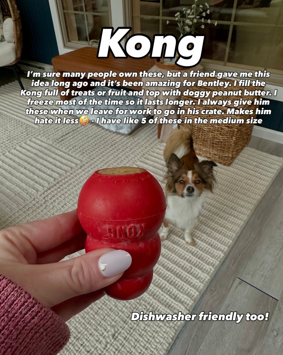 The best treat to keep Bentley satisfied when we leave for work 



#LTKPets #LTKHome