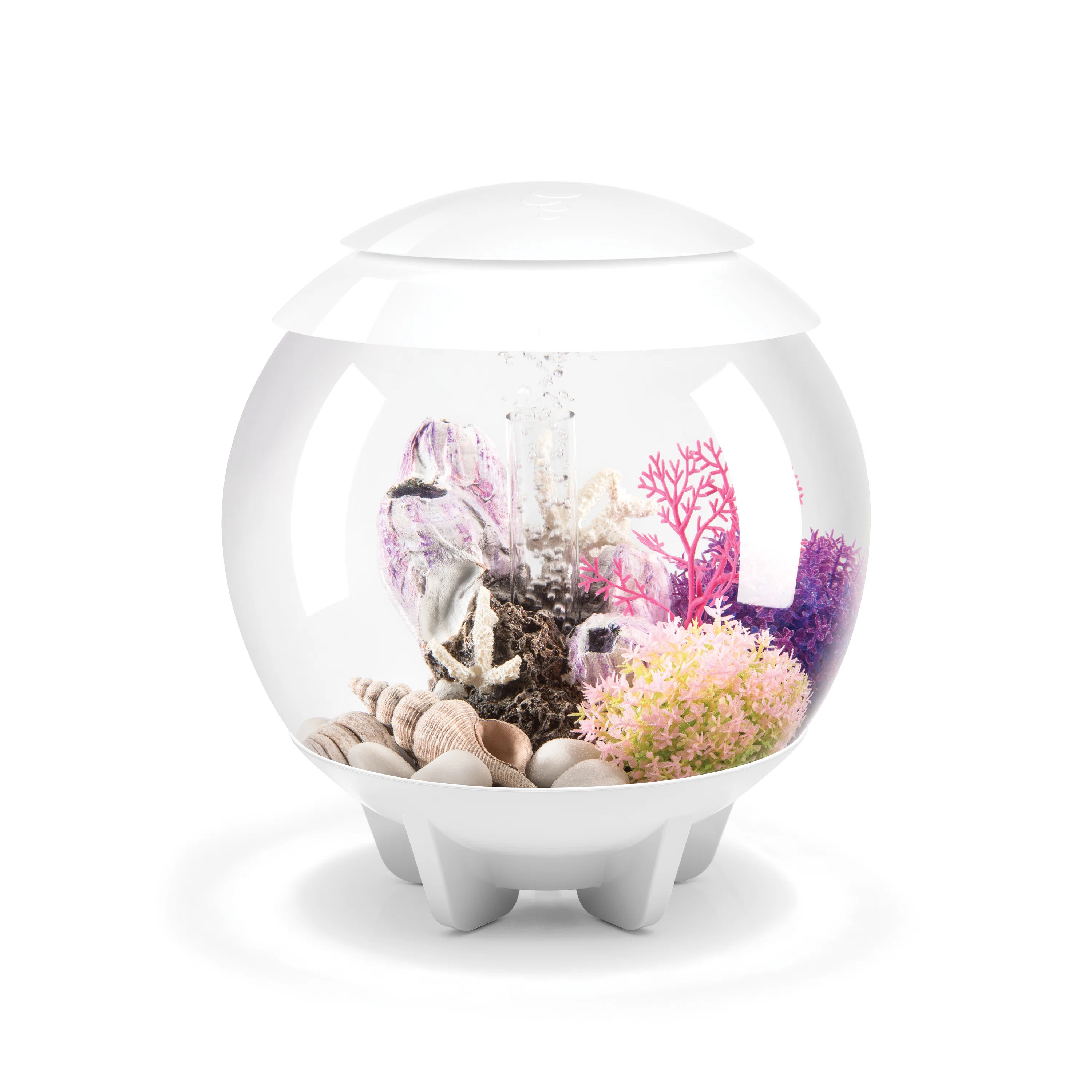 biOrb Halo 15 4 Gallon Round Aquarium Tank with MCR Light | Wayfair | Wayfair North America