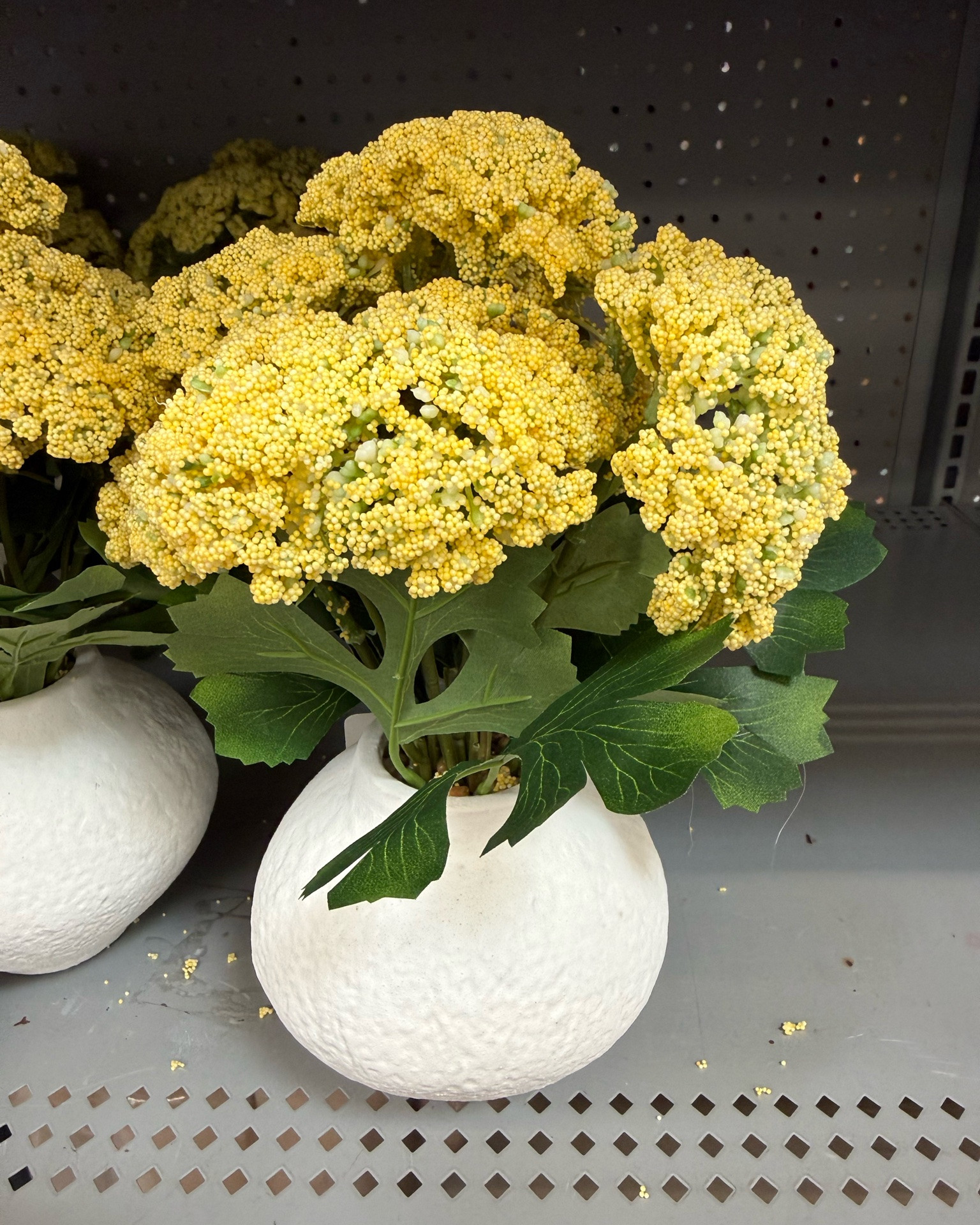 Loving the new home decor finds from Walmart.




Walmart deals

#LTKSeasonal #LTKHome #LTKSaleAlert