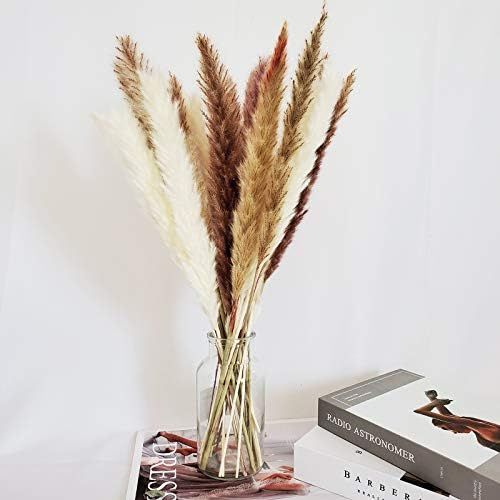 Natural Dried Pampas Grass 30 Stems -20" in Length- White Pampas 15 Pcs & Brown Pampas 15 Pcs for Fl | Amazon (US)