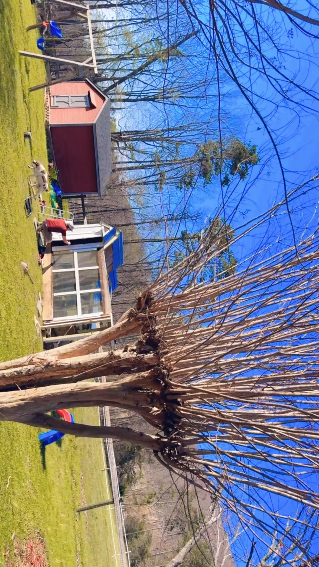 this man makes all of my dreams come true 🥰🐓🌸🛠️🪵🧺🥚
 
I love you forever and ever, @wesmabry 😘😍