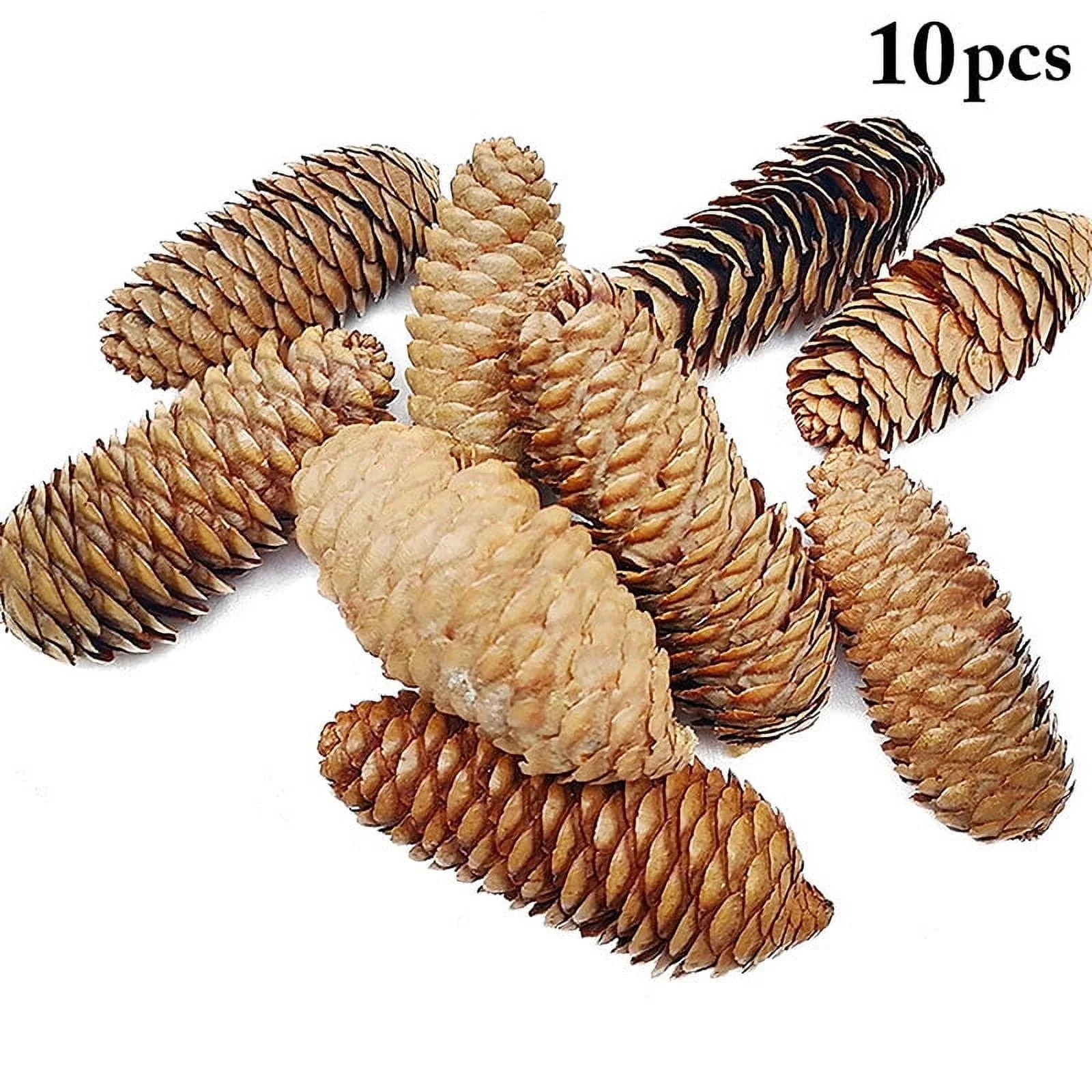 Apepal Home Decor Pinecone Decorations Rustic 10PCS Natural Pinecones Craft Pinecones | Walmart (US)