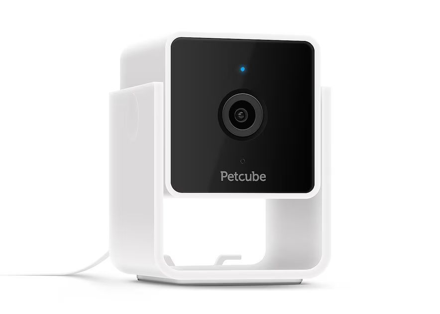 PETCUBE Cam HD Monitoring With Vet Chat Pet Camera - Chewy.com | Chewy.com