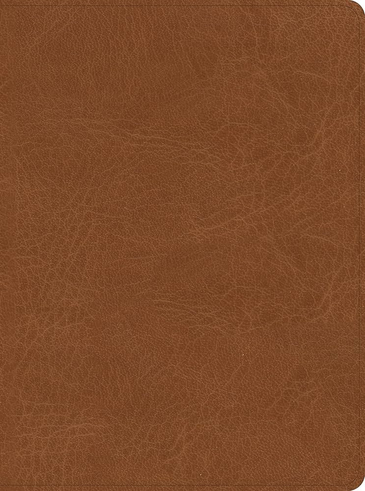 CSB He Reads Truth Bible, Saddle LeatherTouch, Indexed, Black Letter, Wide Margins, Journaling Sp... | Amazon (US)