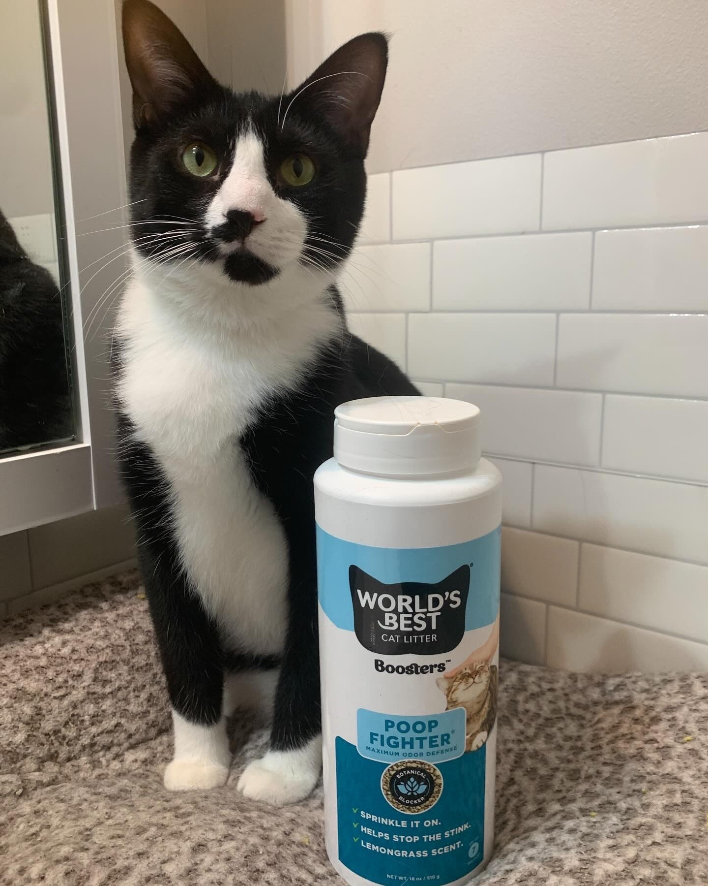 Okay—this stuff works. We’ve got a multi-cat household, and litter box odor is just part of life… or at least it used to be. Since trying the World’s Best Cat Litter Poop Fighter Booster, things have seriously improved.

We just sprinkle a little into the litter, and that’s it. No extra steps, no weird chemical smells. It’s made in the USA, natural, and sustainable—which I appreciate. The scent is light and botanical (not fake or overpowering), and it actually does what it says: blocks odors from poop, pee, and ammonia.

I especially like that it doesn’t bother the cats at all—they still use the box like normal. It’s a total win in our house.

@influenster @worldsbestcatlitter #complimentary #WorldsBestCatLitter #Boosters 
#PoopFighter #LitterBoxLife #MultiCatHousehold #CatMomLife #CatDadLife #CatApproved #CatLitterAdditive #OdorControl #CleanLitterBox #PetCareEssentials #NaturalLitter #EcoFriendlyPetCare #FreshHomeVibes #CatCareRoutine #BotanicalBlocker #MadeInUSA #GiftedReview #CatLoversOfInstagram #PetProductReview #HappyCatsHappyHome

#LTKHome #LTKPets #LTKU