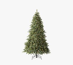 Tree Classics by Balsam Hill Deluxe Noble Fir Faux Christmas Tree | Pottery Barn (US)