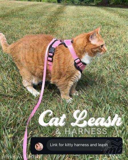 Cat leash & harness I use for Big Girl🫶🏼

#LTKhome #LTKfamily #LTKtravel