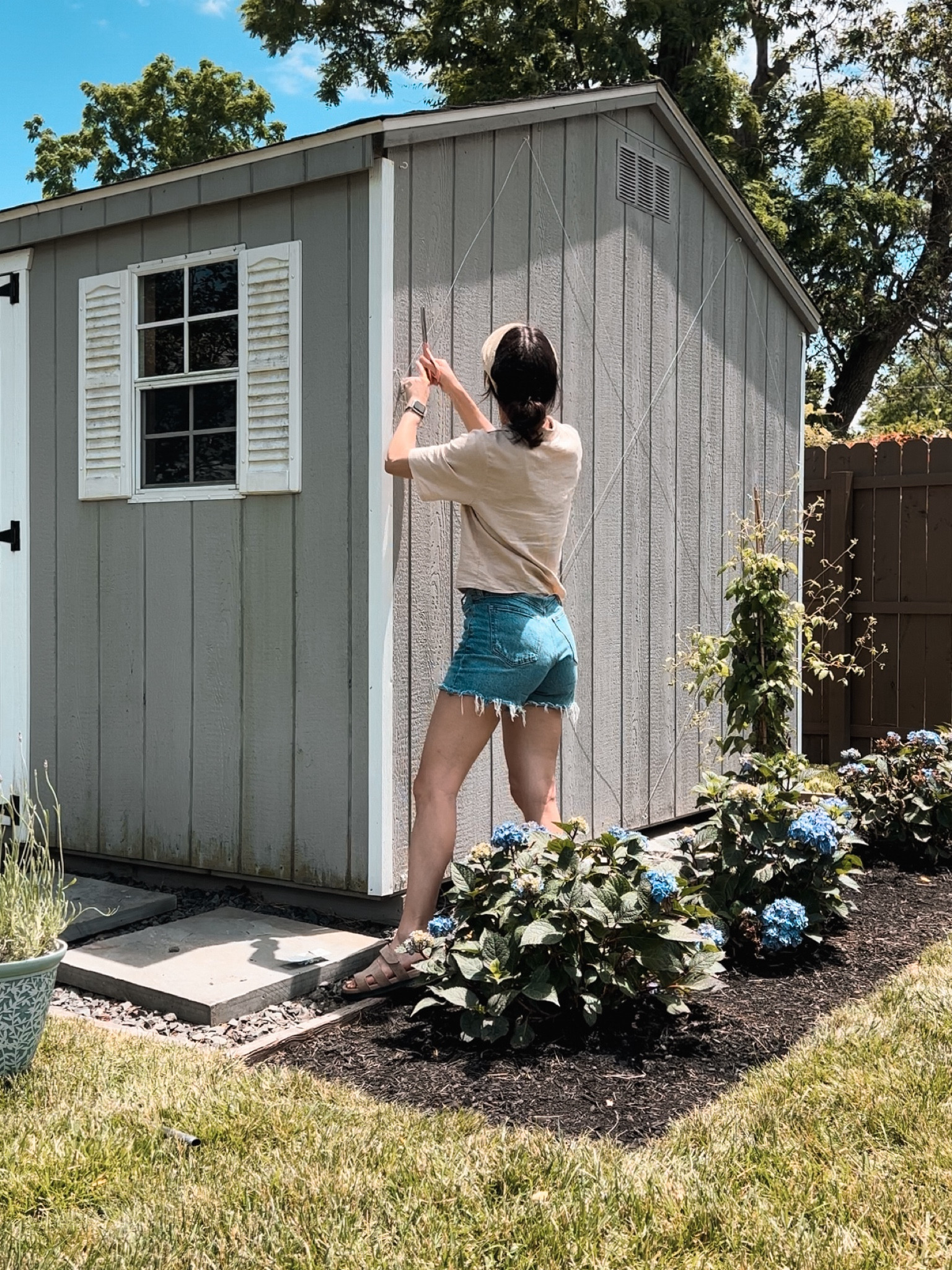 Jasmine trellis wire & supplies

#LTKHome