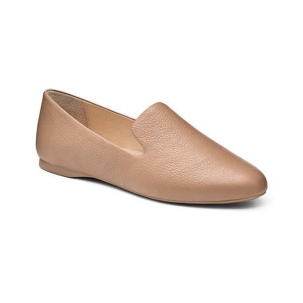 the starling | BIRDIES