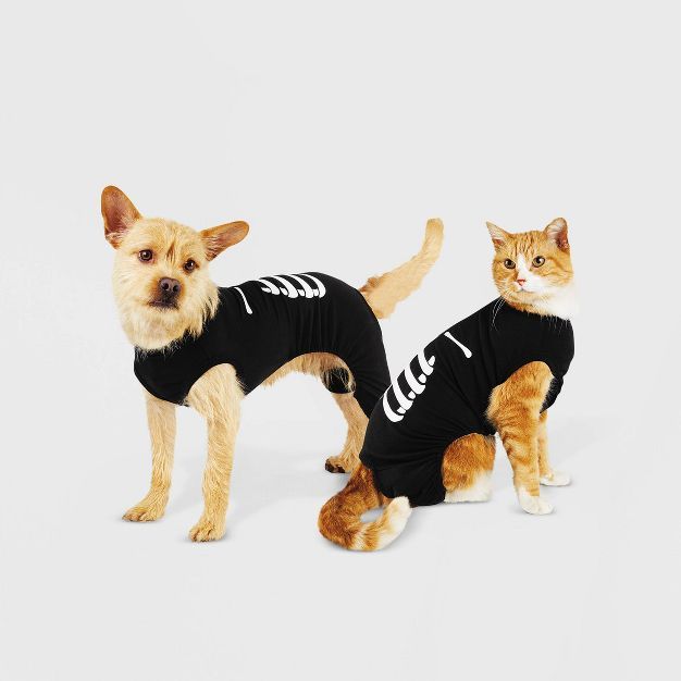 Halloween Skeleton Matching Family Sleep Dog and Cat Pajama - Hyde & EEK! Boutique™ Black | Target