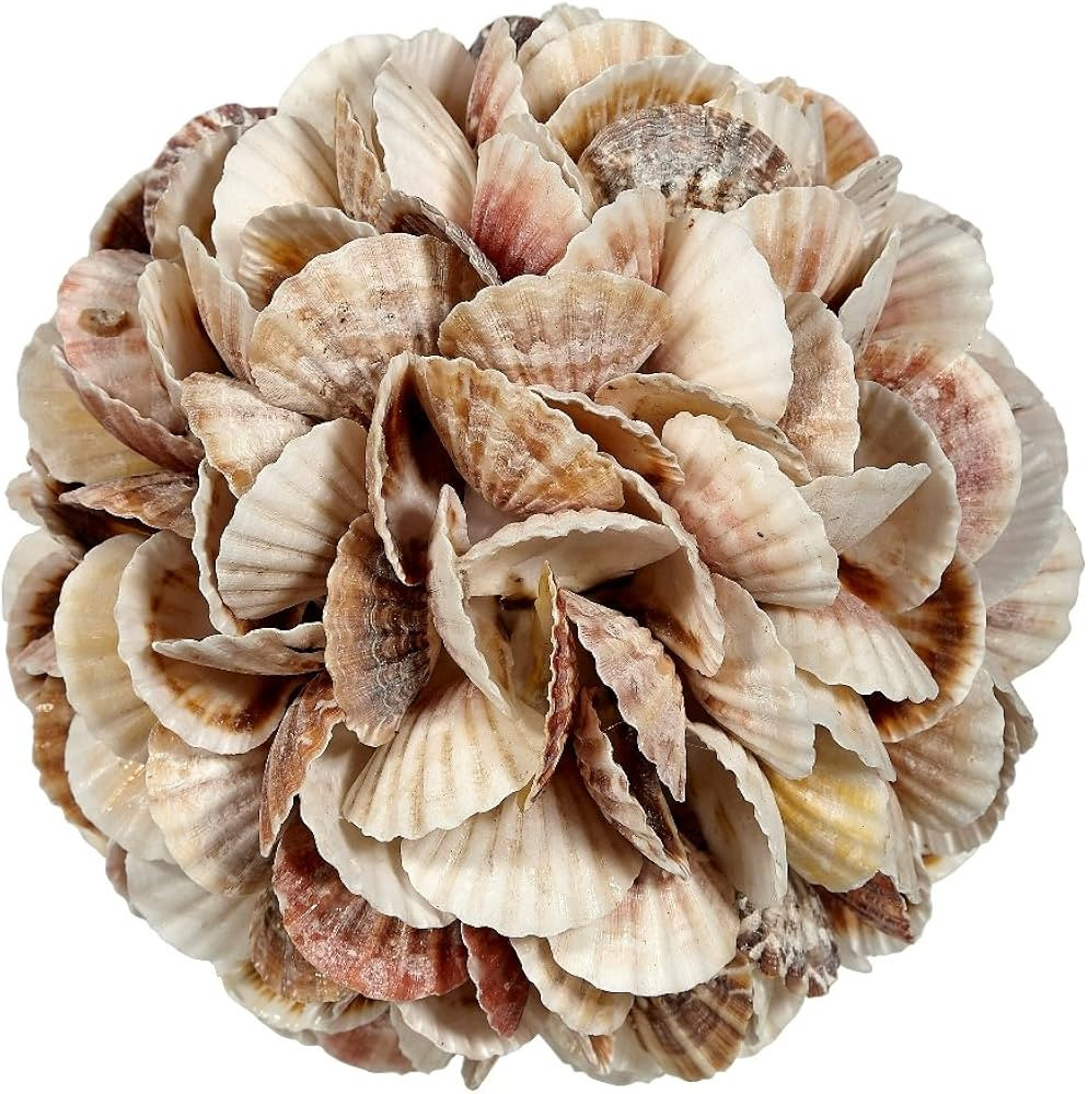 Decorative Orb Ball 8", Mixed Pecten Shells Sphere Table Top Centerpiece, Nautical Home Decor Coa... | Amazon (US)