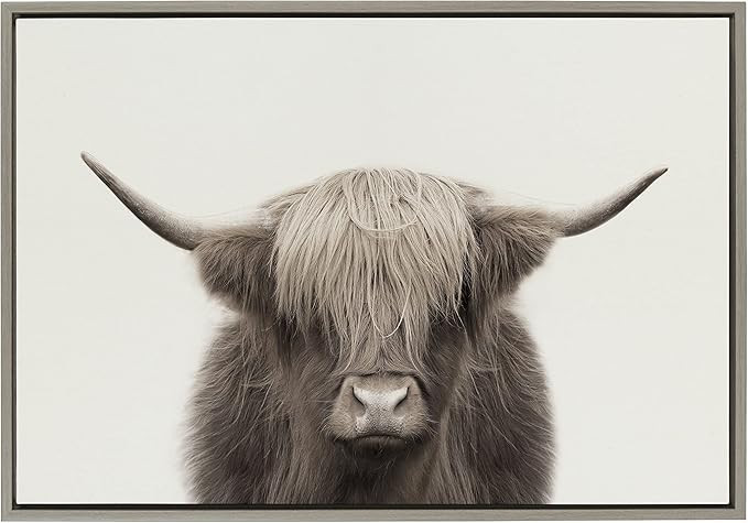 Kate and Laurel Sylvie Hey Dude Highland Cow Color Framed Linen Textured Canvas Wall Art by The C... | Amazon (US)